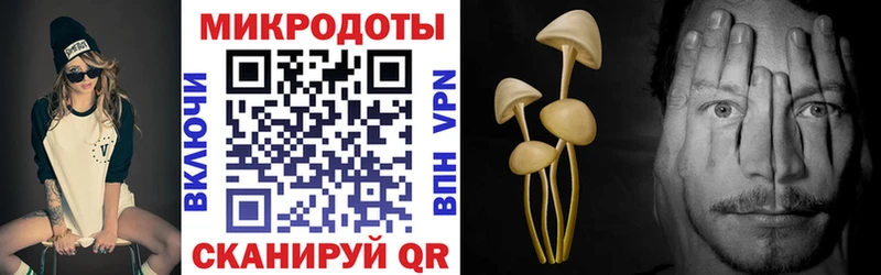 наркота  мега зеркало  Галлюциногенные грибы Psilocybine cubensis  Семёнов 